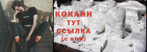 ECSTASY Галич