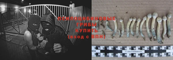 PSILOCYBIN Осташков