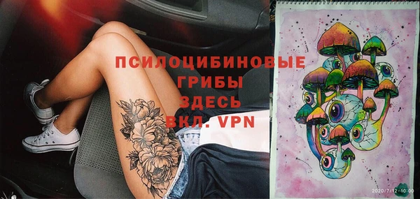 крисы Переславль-Залесский