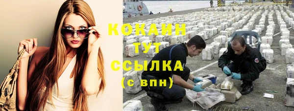 круглые Пересвет
